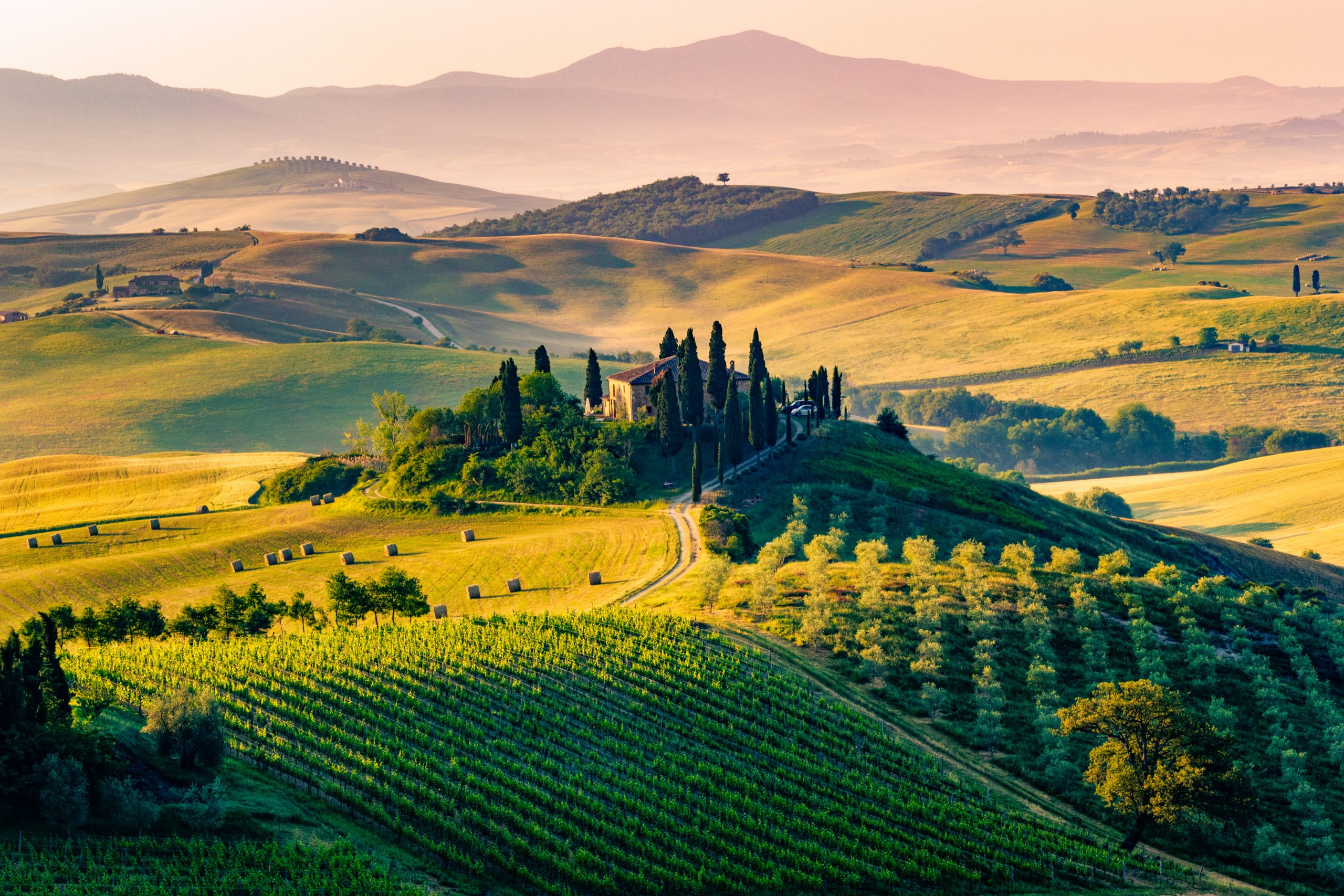 Italian Specialization