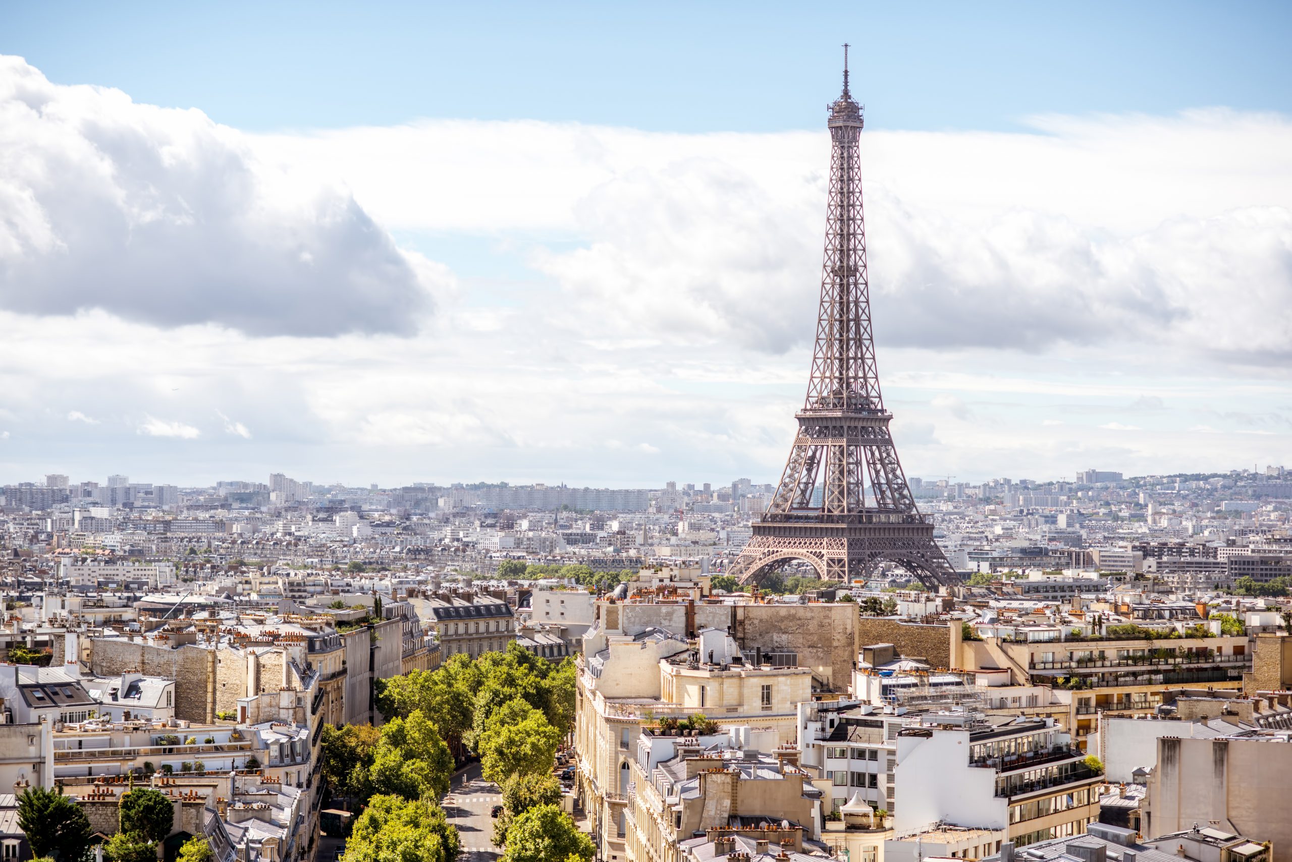 French & Francophone