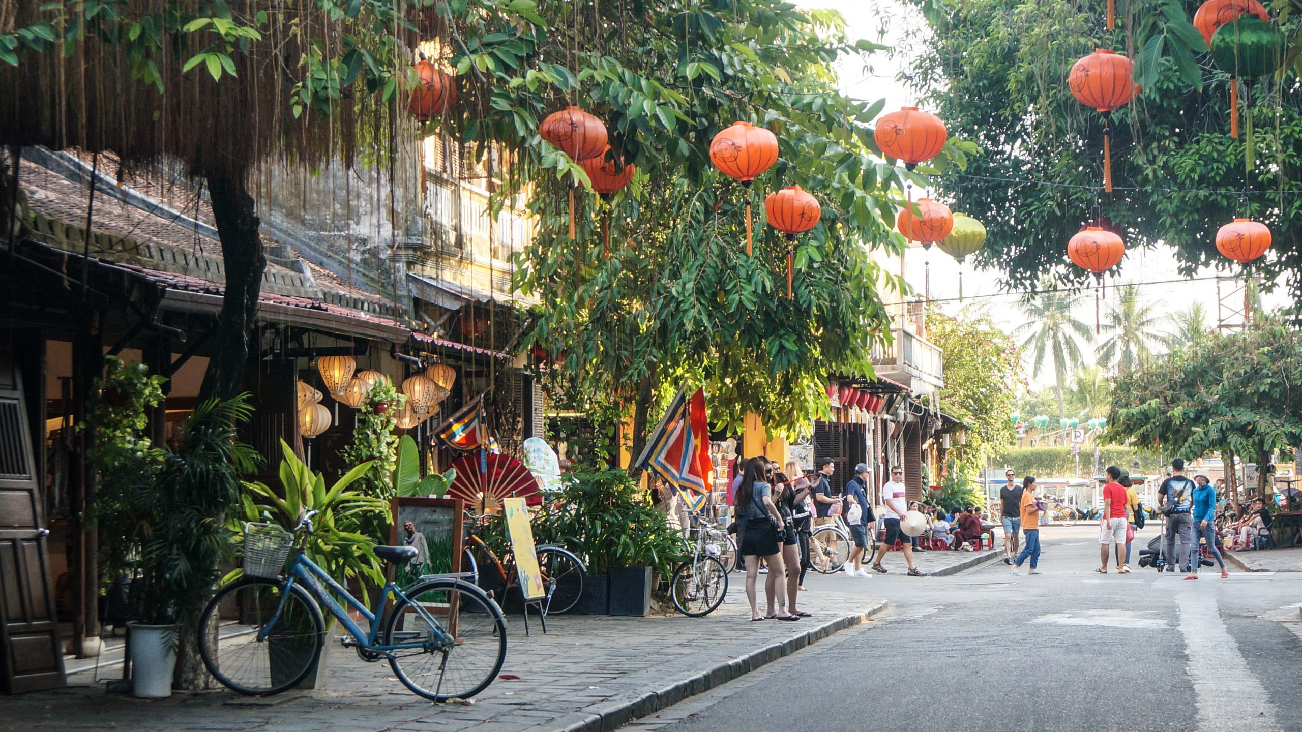 Vietnamese Studies Minor