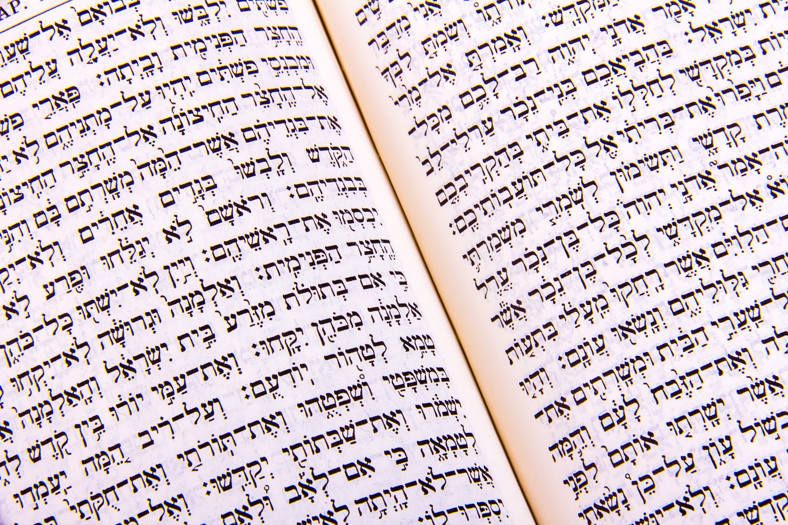 Hebrew Specialization