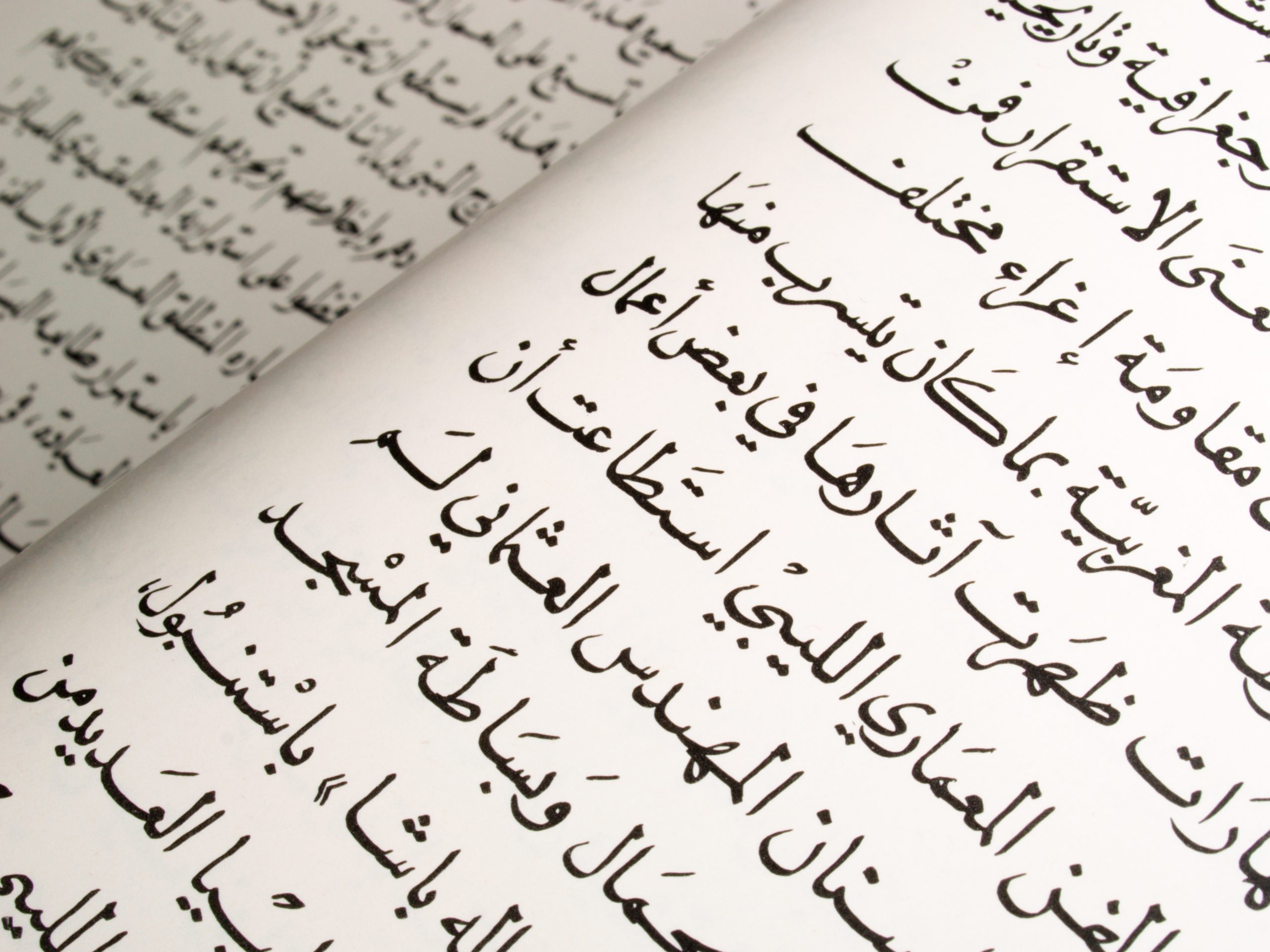 Arabic Specialization