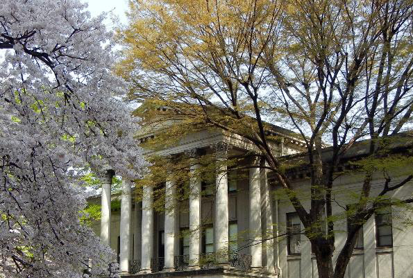 Aoyama Gakuin University – Exchange Program in Language and Culture