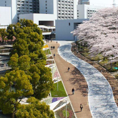 Chuo University – Exchange Program in Language, Culture and Stem